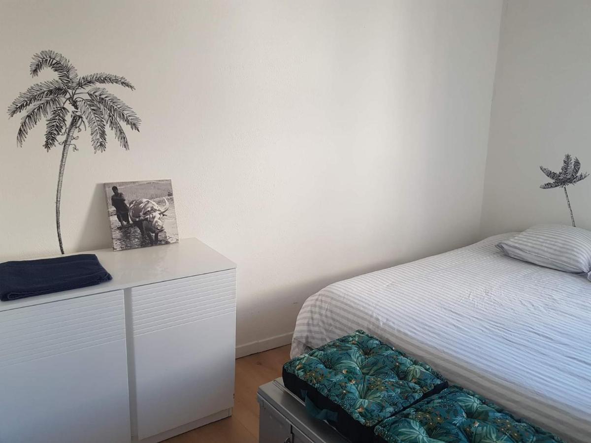 Eco'Cooning Apartment Nimes Bagian luar foto
